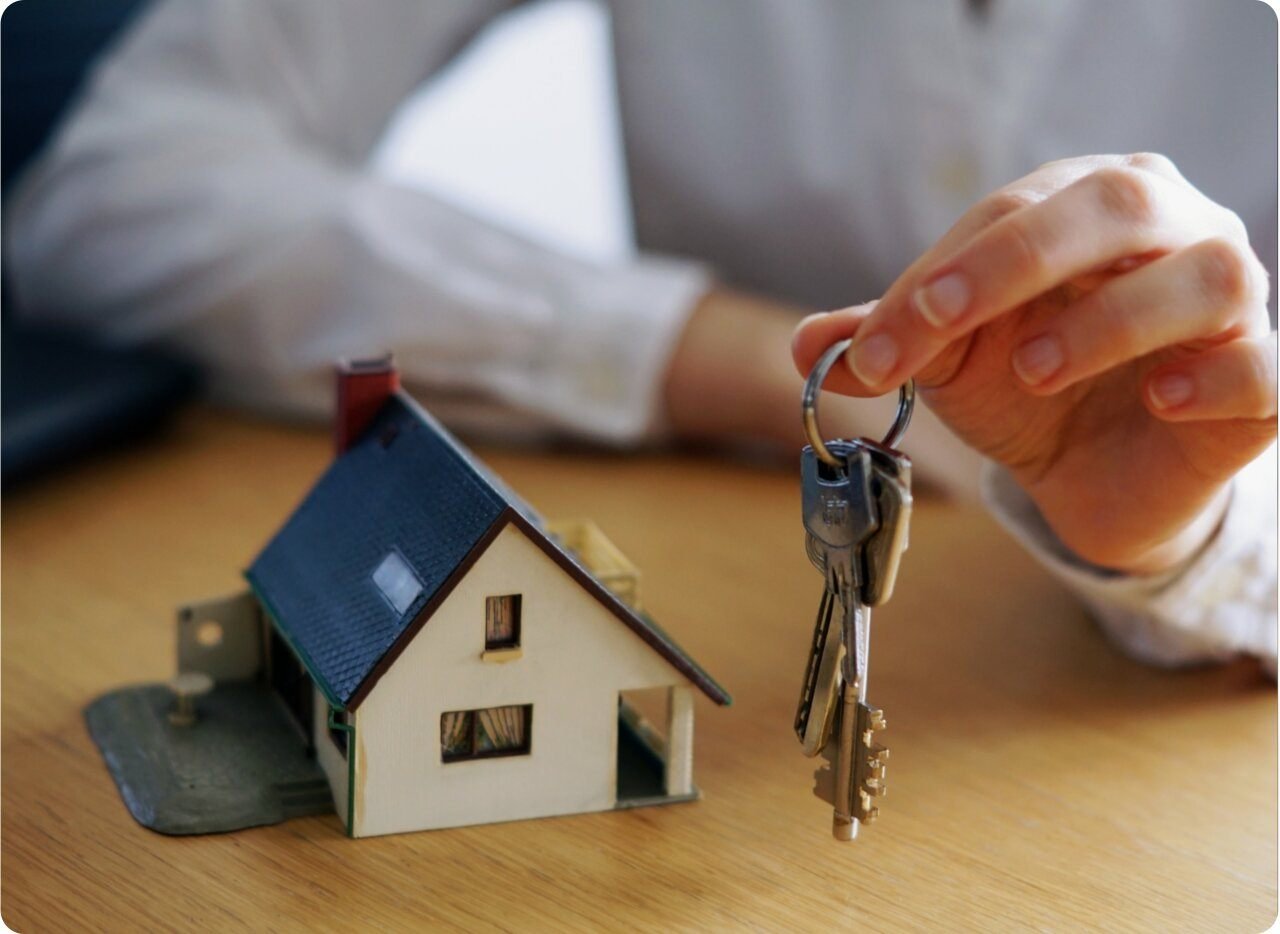 بيئة المستثمرين